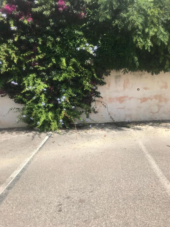 Studio 2 adultes 2 enfants Sanary sur Mer à 800m de la mer Esterno foto